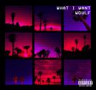 What I Want (Prod. by Antoine Christopher) What I Want (Prod. by Antoine Christopher)