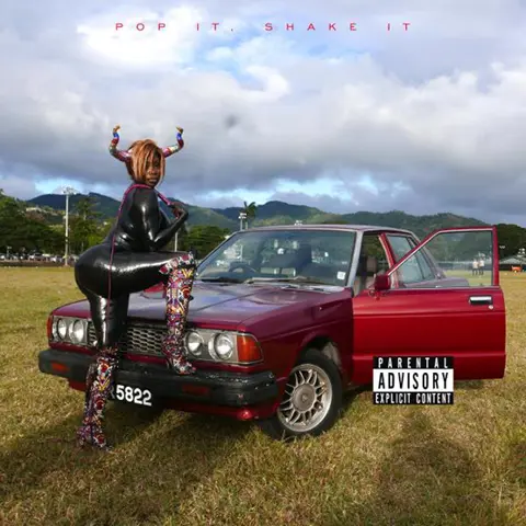 #NerveDjs YG @YG - Pop It Shake It 