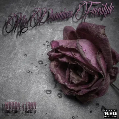 No Promises (Freestyle)