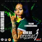 Nerve Djs Exclusives Vol.3