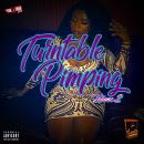 TURNTABLE PIMPING VOL 2