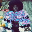 Turntable Pimping Volume 3 (R&B Edition)