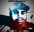 BARS BIGGALOW BARS BIGGALOW
