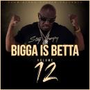 Bigga Is Betta Vol.12