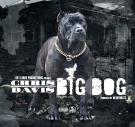 Big Dog