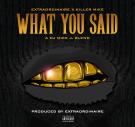 What You Said - Extraordinaire featuring Killer Mike (DJ Mike J Blend)
