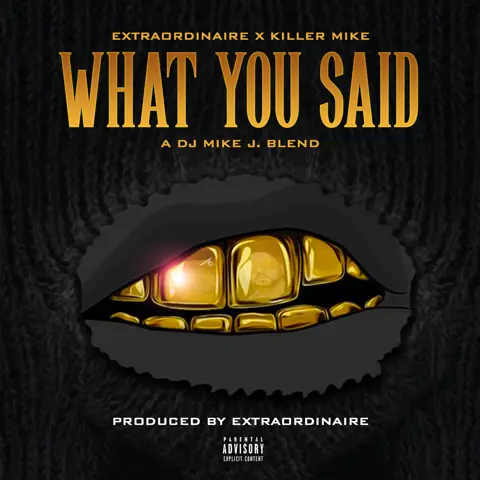 What You Said
