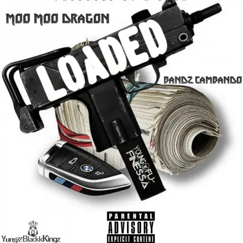 Loaded 