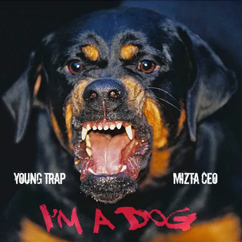 I'm a Dog