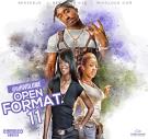Open Format 11