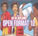 Open Format 12