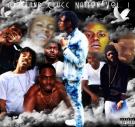 Dacland Clucc Nation Vol. 1 Dacland Clucc Nation Vol. 1
