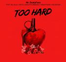 Too Hard Too Hard