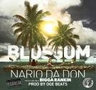 Blossom ft Bigga Rankin