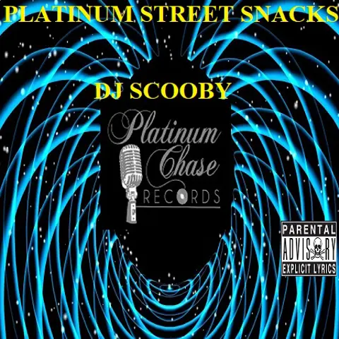 PLATINUM STREET SNACKS