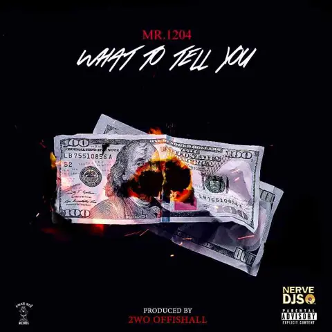 Mr 1204 - What To Tell You (DJ Pack)