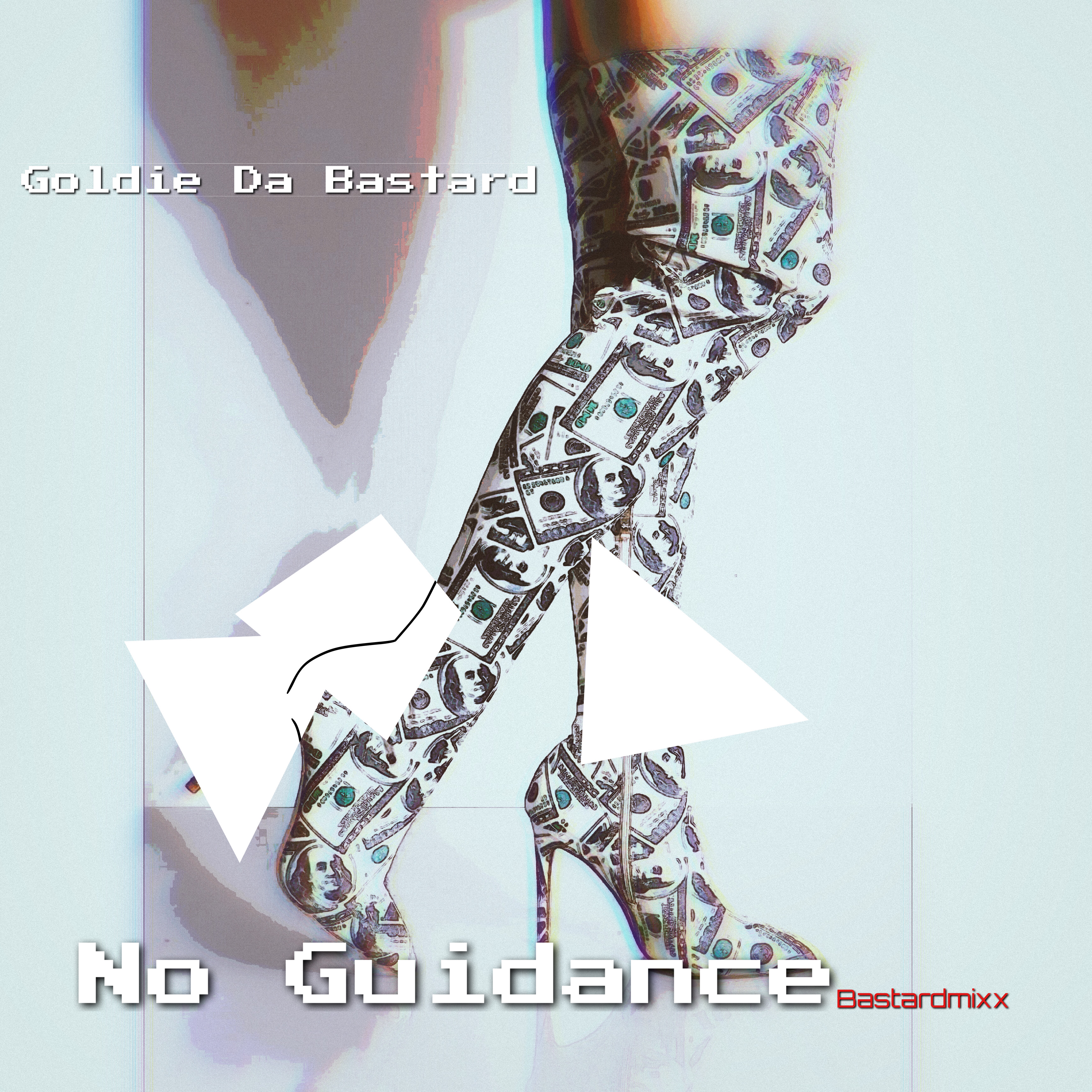 No Guidance