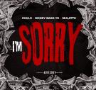 I'm Sorry (feat. MoneyBagg Yo, Latto)