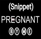 Pregnant By Me (Snippet)