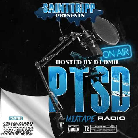 PTSD RADIO
