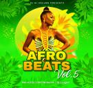 Afro Beats Vol.5