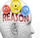 Reason
