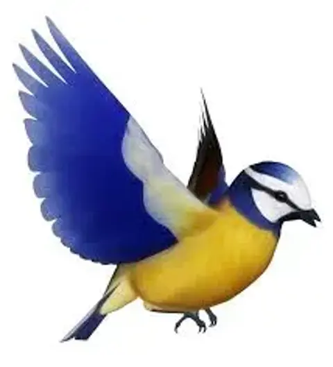 Excepteur dolor necessitatibus nesciunt enim libero inventore maxime est paria