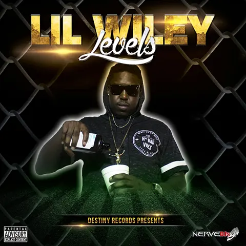 LEVELS (OFFICIAL VIDEO)